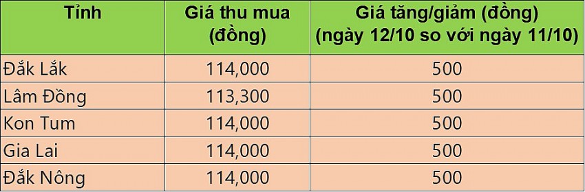 Giá cà phê hôm nay 12/10/2024: Giá cà phê thế giới nối dài đà giảm