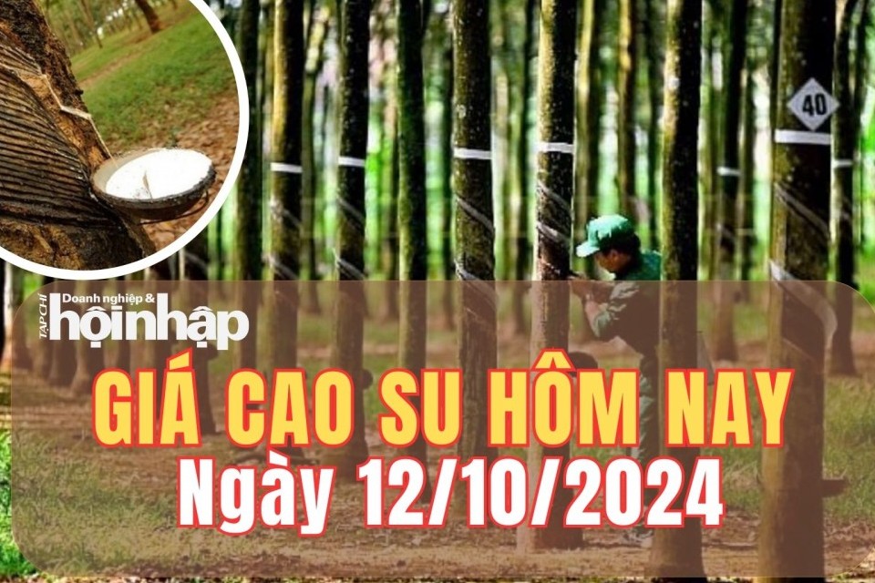 Giá cao su hôm nay 12/10/2024: Giá cao su trên sàn giao dịch Thượng Hải tăng 3,46%