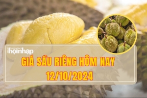 Giá sầu riêng hôm nay 12/10: Tiếp đà tăng giá, sầu riêng Thái đạt kỷ lục mới