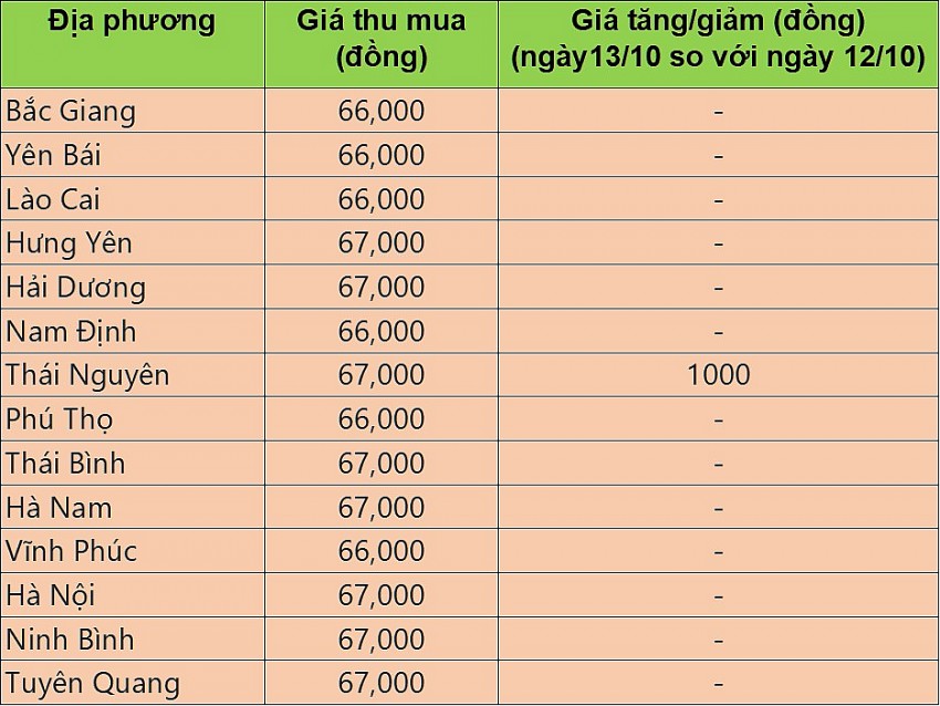 Giá heo hơi hôm nay 13/10/2024: Giá heo hơi tại tỉnh Thái Nguyên tăng 1.000 đồng/kg