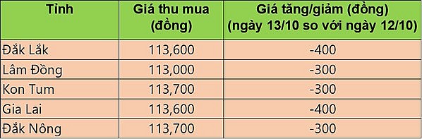 Giá cà phê hôm nay 13/10/2024: Cà phê trong nước giảm từ 300 - 400 đồng/kg