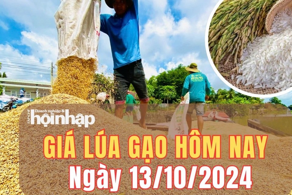 Giá lúa gạo hôm nay 13/10/2024: Giá gạo nguyên liệu và gạo thành phẩm tăng 100 đồng/kg