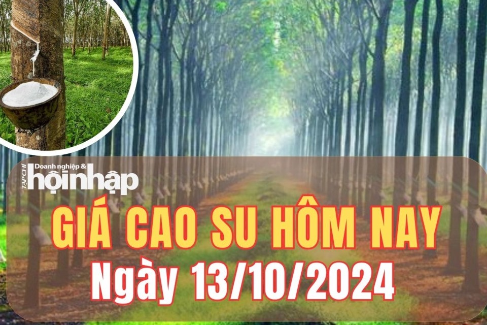 Giá cao su hôm nay 13/10/2024: Duy trì đà tăng tại sàn SHFE