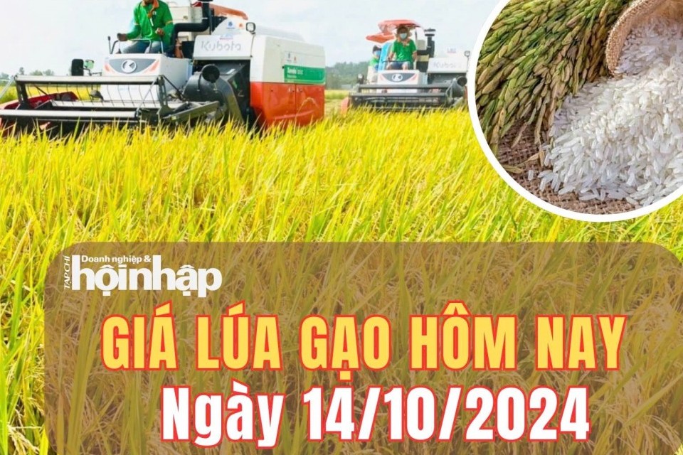 Giá lúa gạo hôm nay 14/10/2024: Giá gạo trong nước và xuất khẩu duy trì ổn định