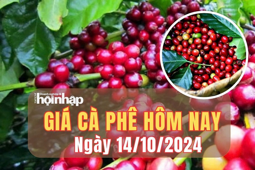 Giá cà phê hôm nay 14/10/2024: