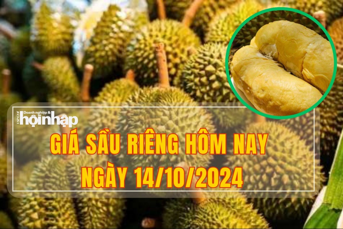 Giá sầu riêng hôm nay 14/10: Sầu Ri6 đang tăng, sầu Thái loại A Đông Nam Bộ đạt mức kỷ lục