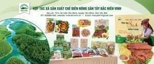 Yên Bái: Các Hợp tác xã chủ động nâng cao chất lượng sản phẩm, xây dựng thương hiệu