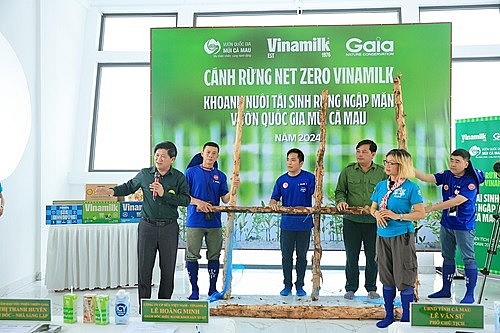 Doanh nghiệp nỗ lực phát triển bể hấp thụ carbon, hướng đến Net Zero