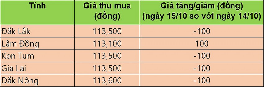 Giá cà phê hôm nay 15/10/2024: Cà phê Lâm Đồng tăng 100 đồng/kg, ở mức 113.100 đồng/kg