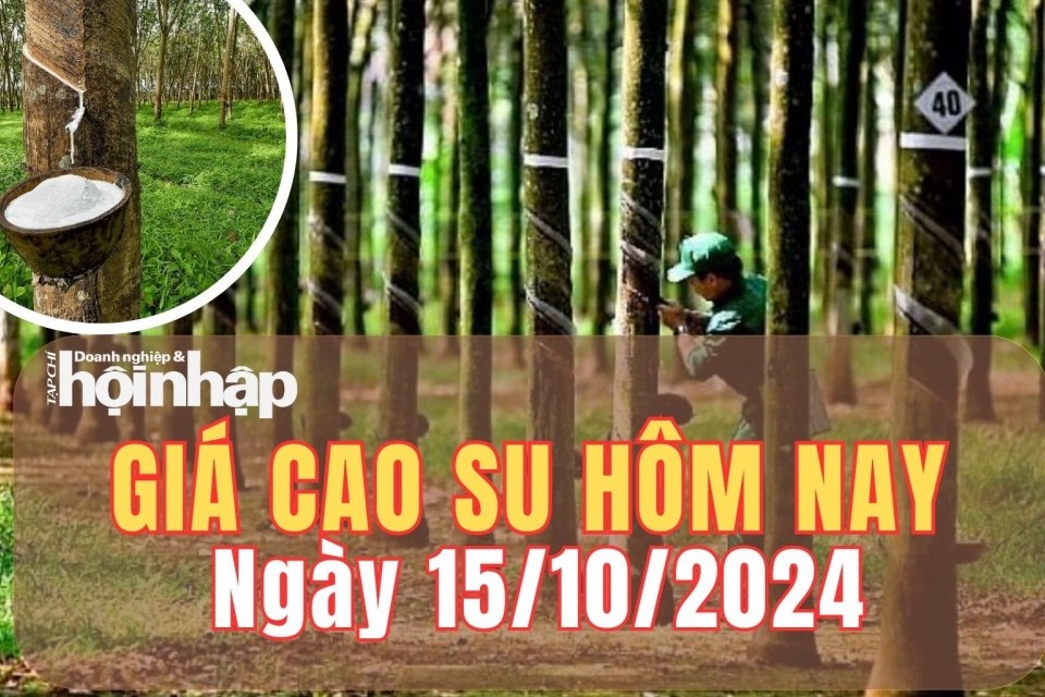 Giá cao su hôm nay 15/10/2024: Tại sàn SHFE giá cao su giảm 0,12%, ở mức 16.970 NDT/tấn