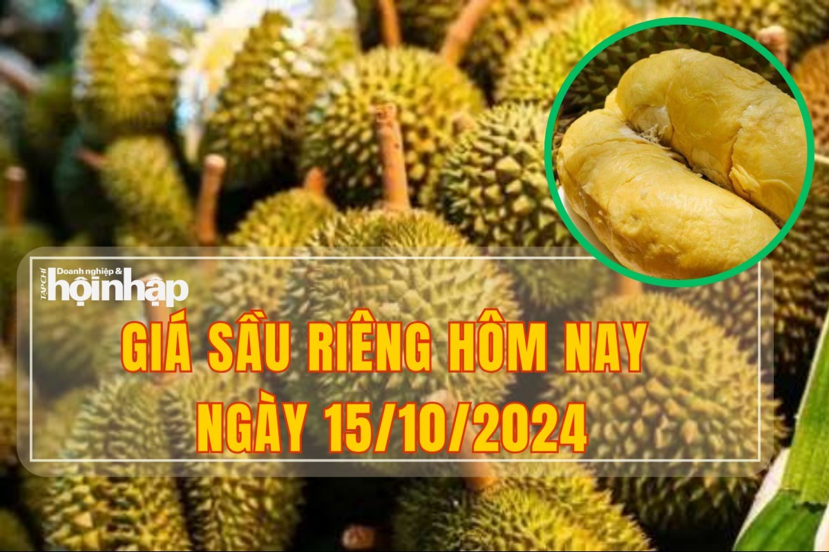 Giá sầu riêng hôm nay 15/10: Thị trường đang tăng, sầu riêng Thái chạm đỉnh