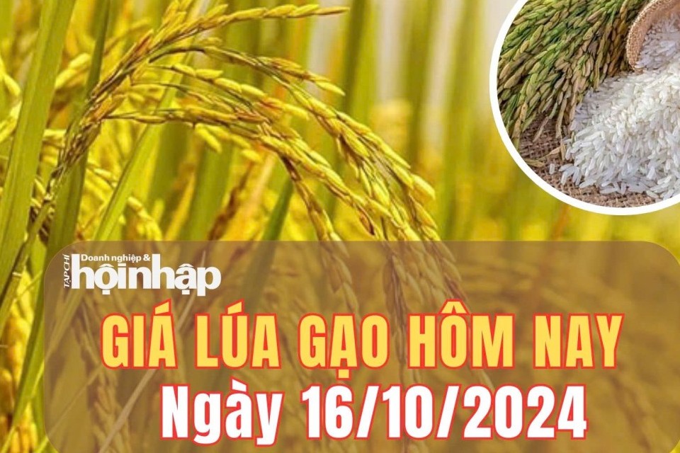 Giá lúa gạo hôm nay 16/10/2024: Giá gạo xuất khẩu giảm 1 USD/tấn