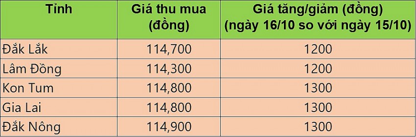 Giá cà phê hôm nay 16/10/2024: