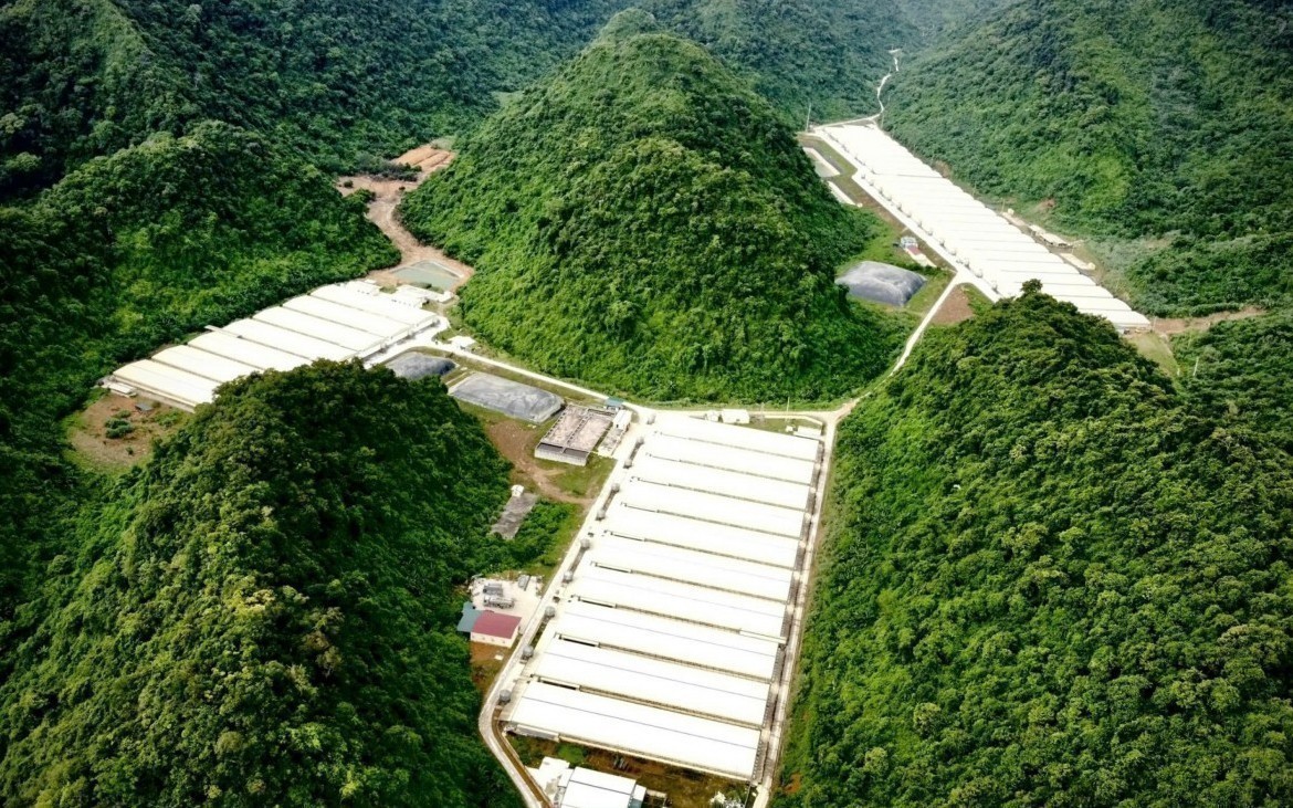 Thanh Hoá: Công ty Dabaco bị phạt hơn 200 triệu đồng do xả thải vượt quy chuẩn