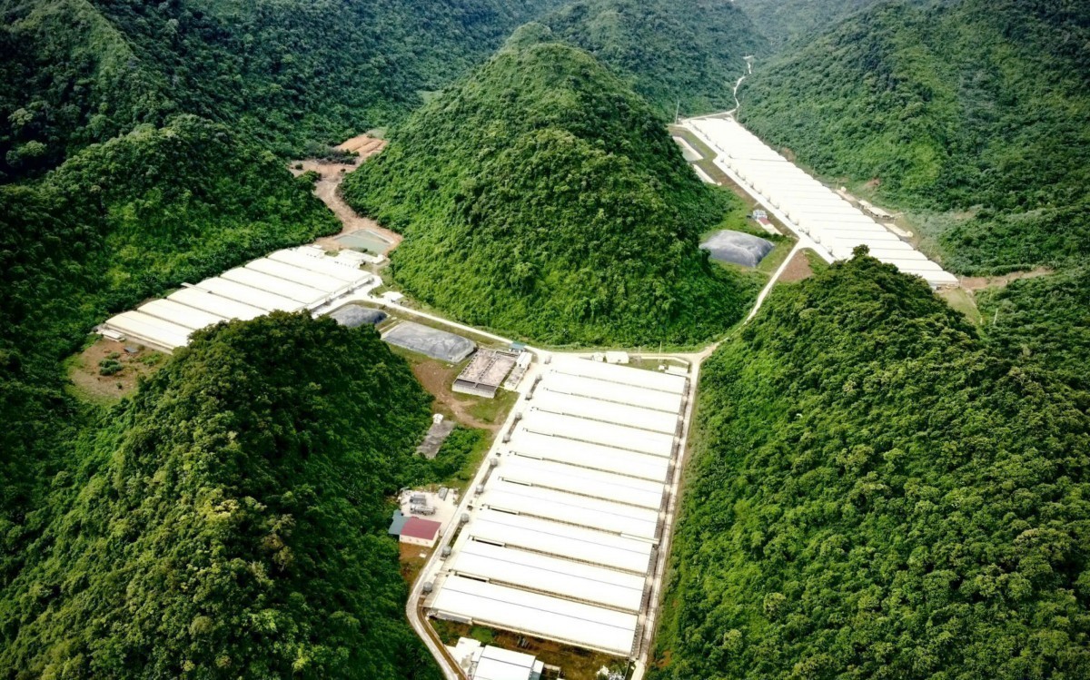 Thanh Hoá: Công ty Dabaco bị phạt hơn 200 triệu đồng do xả thải vượt quy chuẩn Thanh Hoá: Công ty Dabaco bị phạt hơn 200 triệu đồng do xả thải vượt quy chuẩn