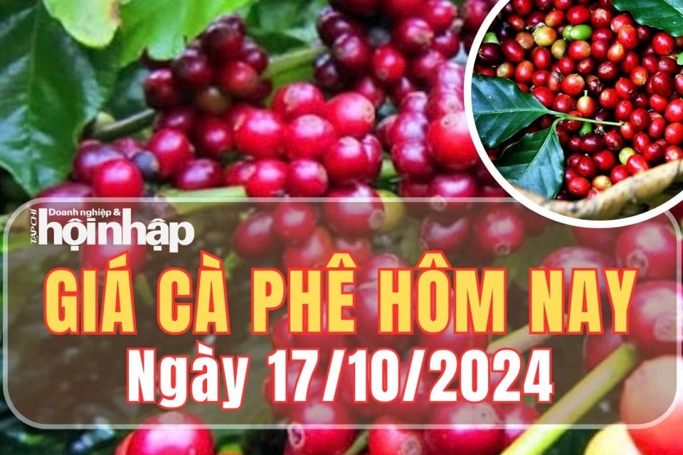 Giá cà phê hôm nay 17/10/2024: Cà phê Robusta giảm 50 USD/tấn, ở mức 4.859 USD/tấn