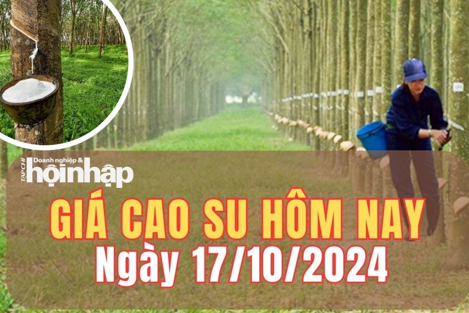 Giá cao su hôm nay 17/10/2024: Trên sàn SHFE giá cao su giảm 30,33 %