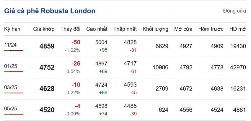 Giá cà phê hôm nay 17/10/2024: