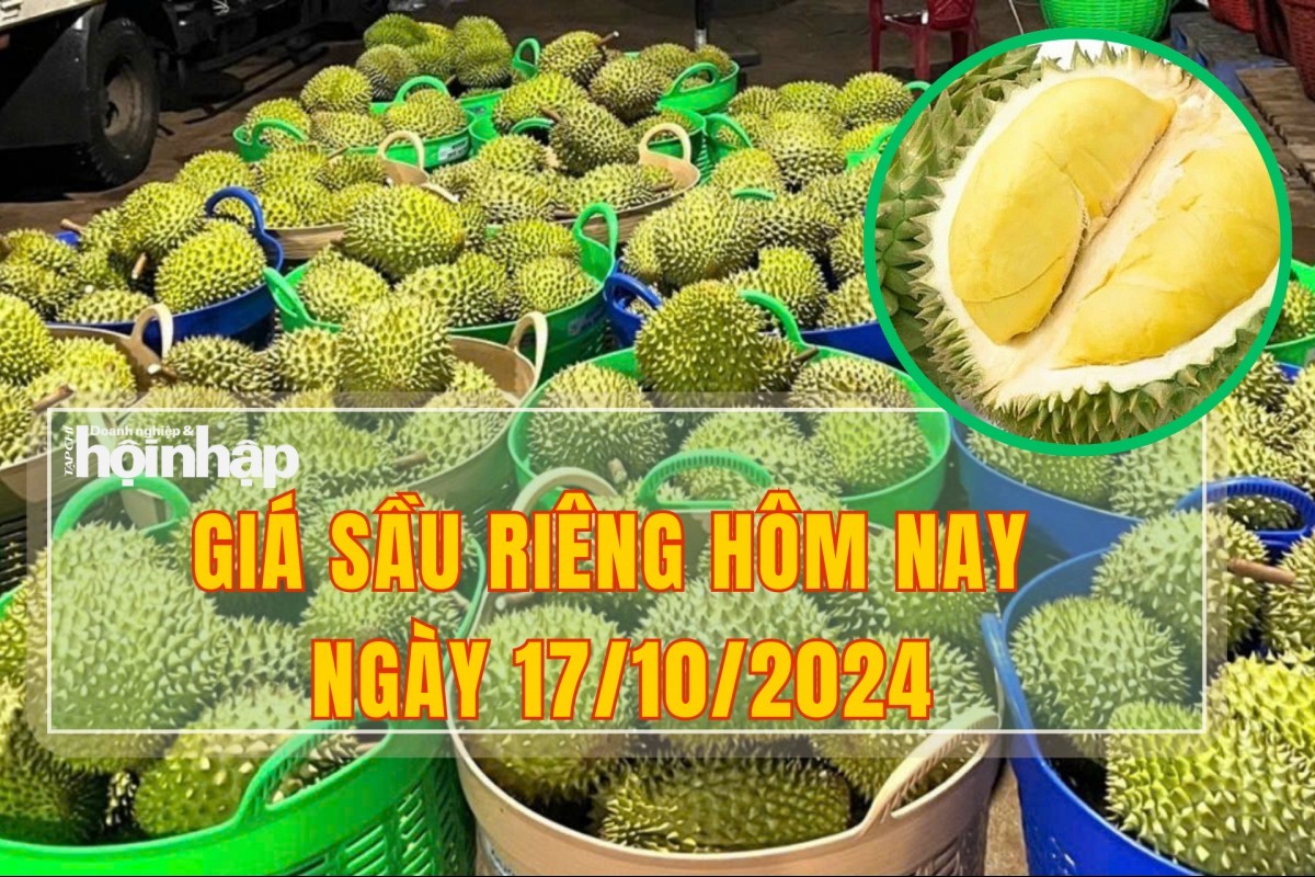 Giá sầu riêng hôm nay 17/10: Sầu riêng Ri6, sầu riêng Thái tiếp tục có giá neo cao