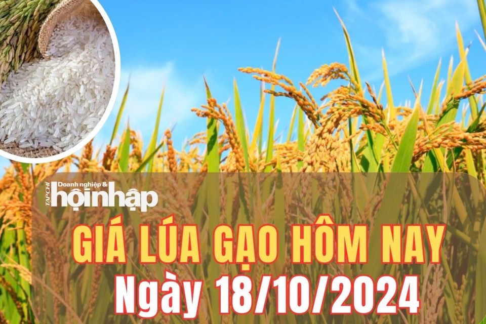 Giá lúa gạo hôm nay 18/10/2024: Giá gạo duy trì đà giảm từ 100 - 200 đồng/kg