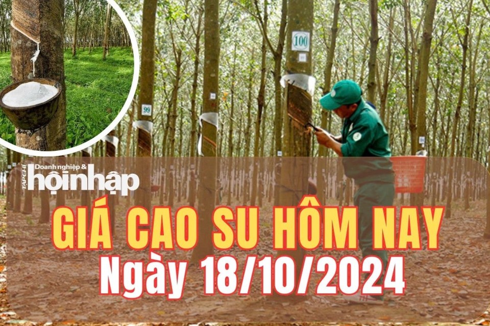 Giá cao su hôm nay 18/10/2024: Giá cao su tại sàn London và Thượng Hải tăng - giảm trái chiều