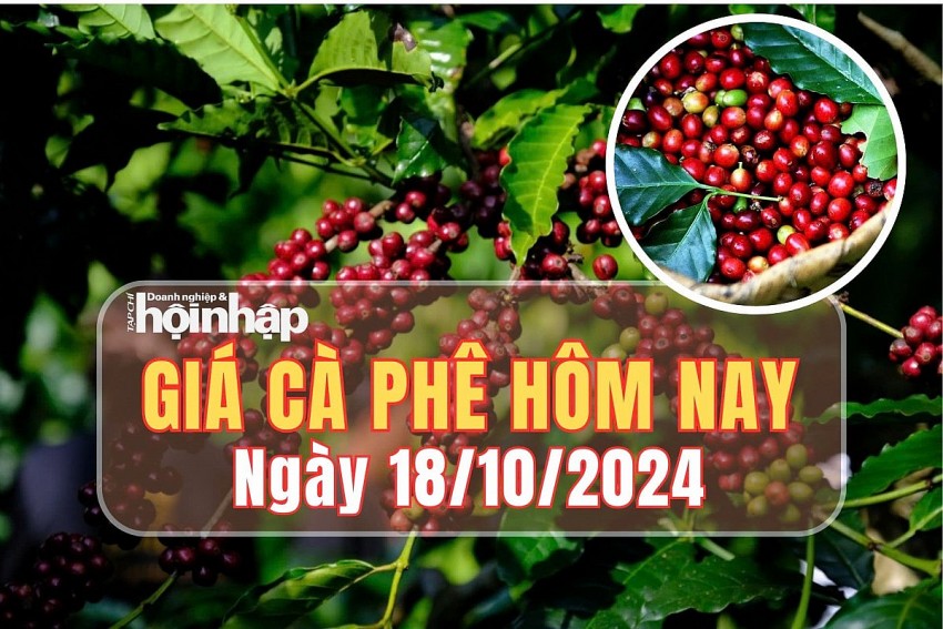 Giá cà phê hôm nay 18/10/2024: