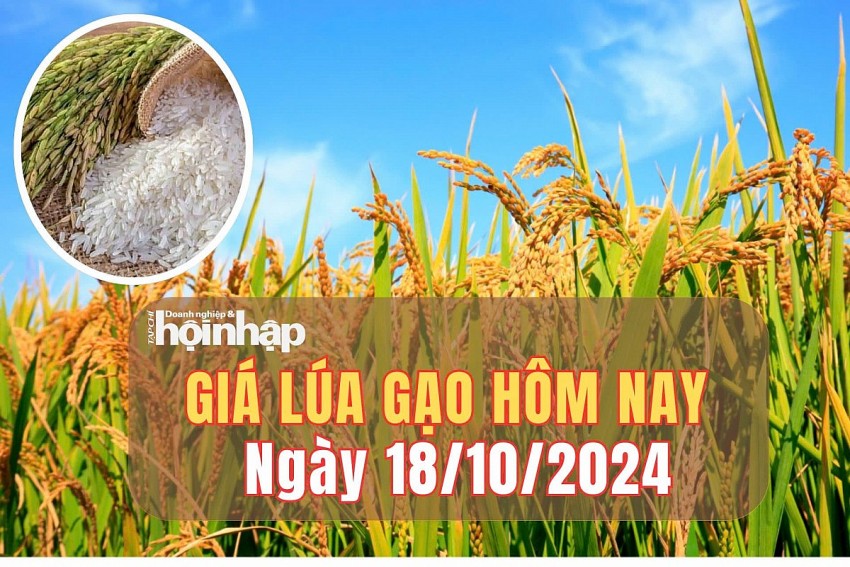 Giá lúa gạo hôm nay 18/10/2024: