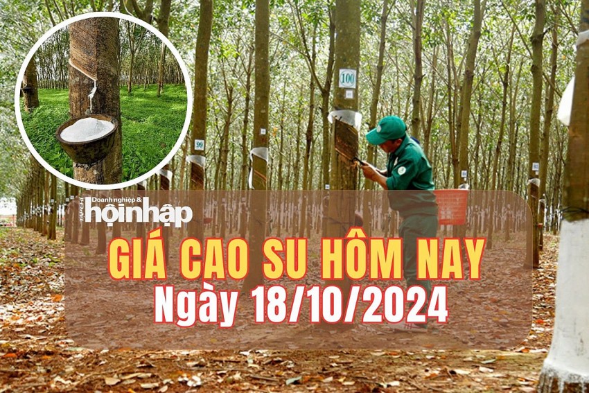 Giá cao su hôm nay 18/10/2024: