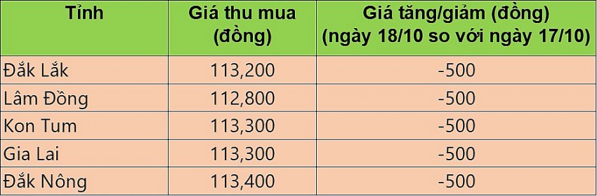 Giá cà phê hôm nay 18/10/2024: Cà phê trong nước tiếp đà giảm 500 đồng/kg