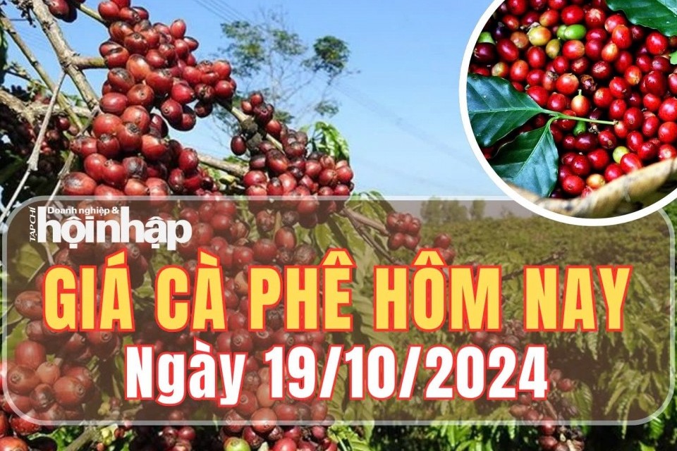 Giá cà phê hôm nay 19/10/2024: Giá cà phê thế giới và trong mước tăng - giảm trái chiều