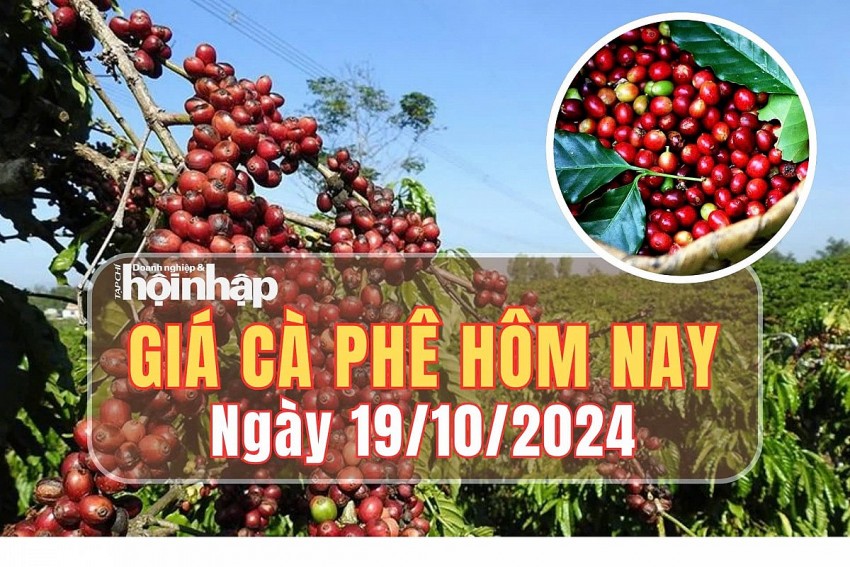 Giá cà phê hôm nay 19/10/2024: