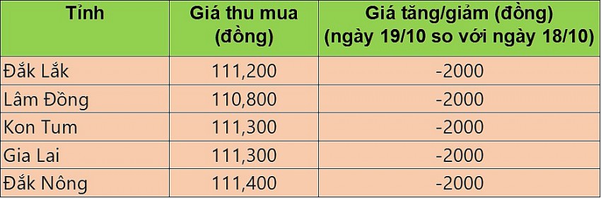 Giá cà phê hôm nay 19/10/2024: