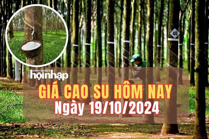 Giá cao su hôm nay 19/10/2024: