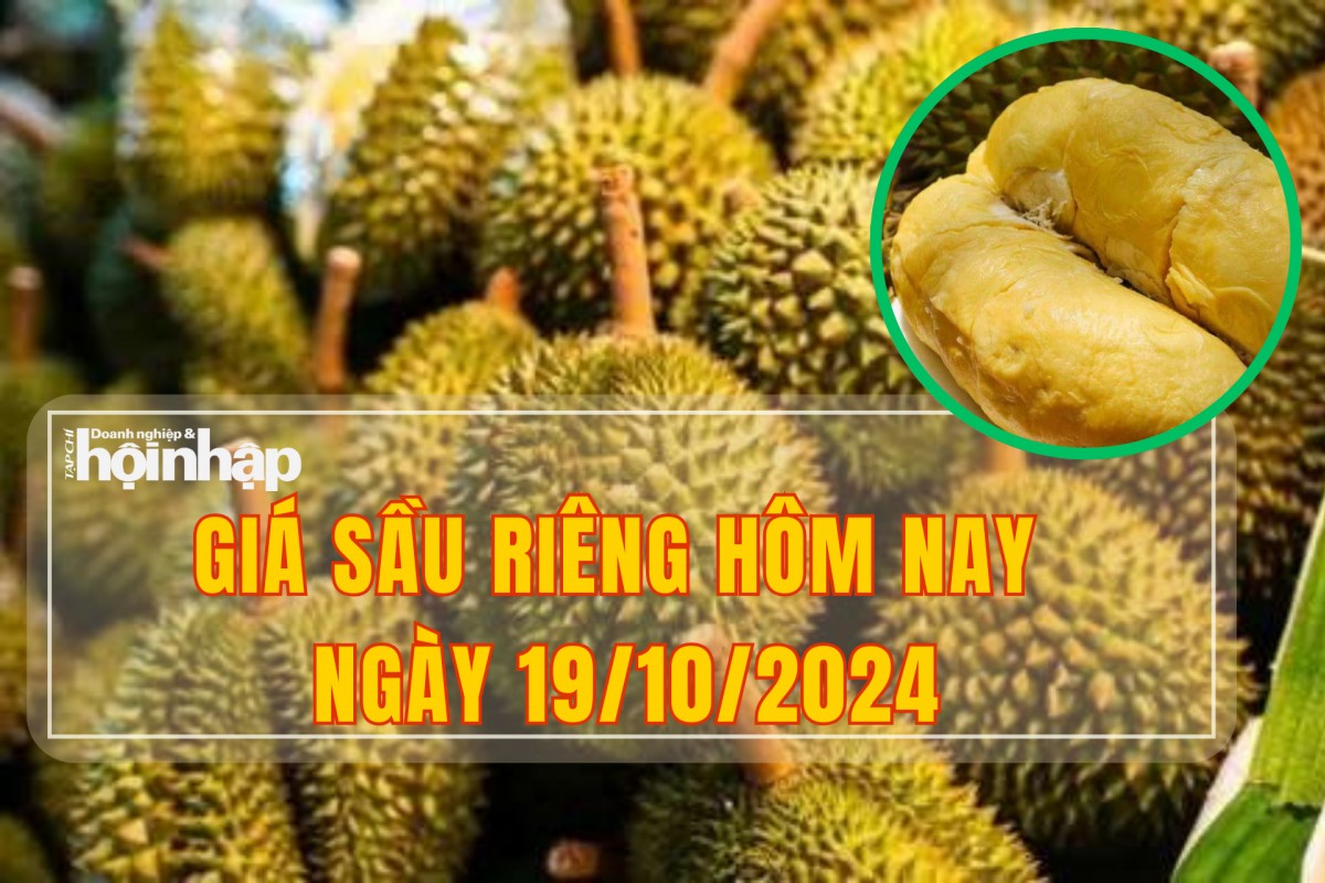 Giá sầu riêng hôm nay 19/10: Sầu riêng Ri6 miền Tây tăng giá mạnh