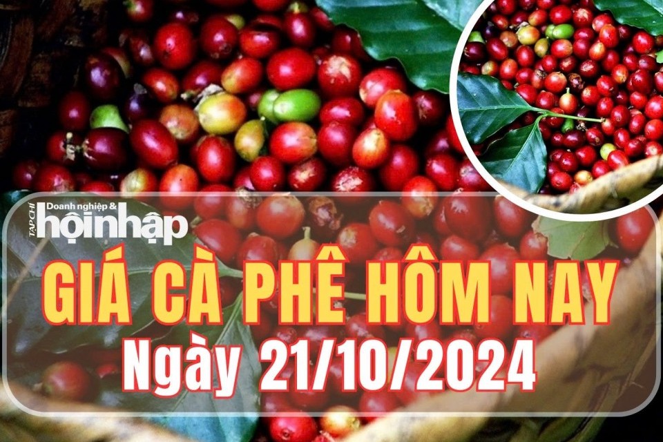 Giá cà phê hôm nay 21/10/2024: Giá cà phê trong nước và thế giới ổn định