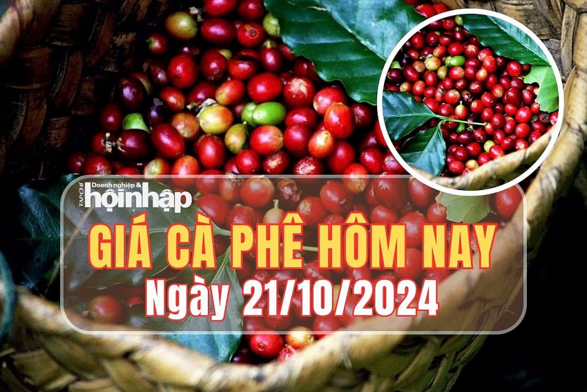 Giá cà phê hôm nay 21/10/2024: