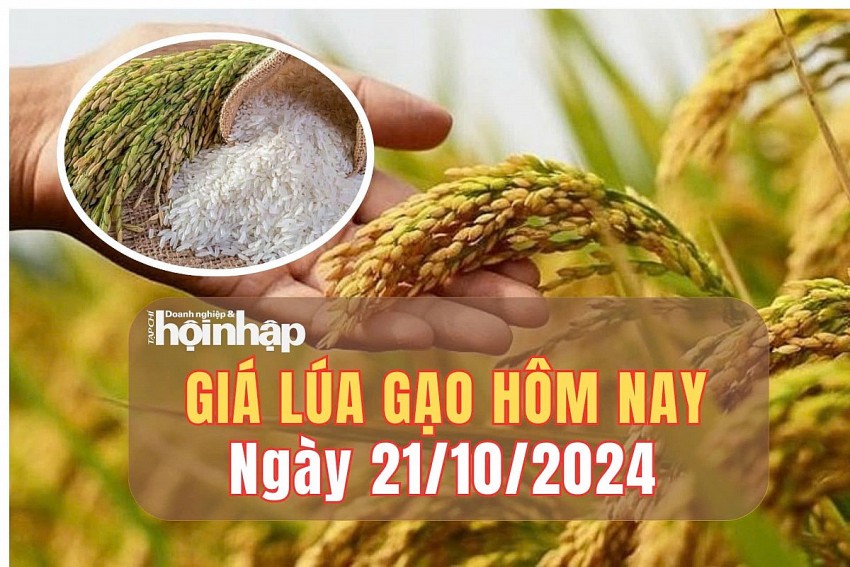 Giá lúa gạo hôm nay 21/10/2024: