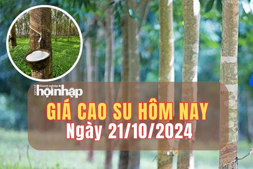 Giá cao su hôm nay 21/10/2024: