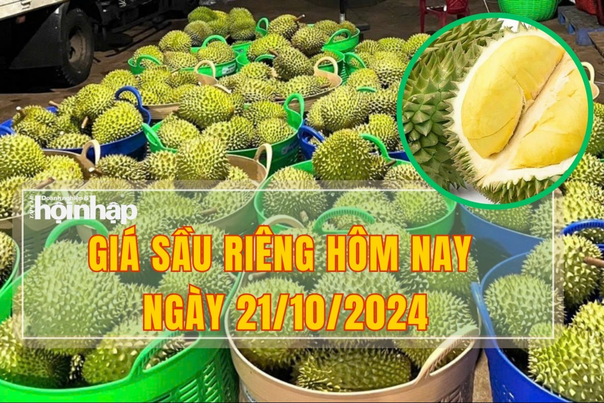 Giá sầu riêng hôm nay 21/10: Thị trường sầu riêng miền Tây giá cao