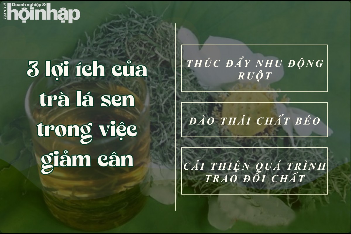 3 lợi ích của trà lá sen trong việc giảm cân.