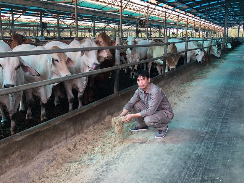 Tập đoàn Hòa Phát tăng cường cạnh tranh trong ngành chăn nuôi