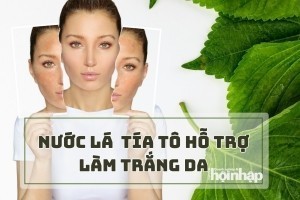 Nước lá tía tô hỗ trợ làm trắng da?