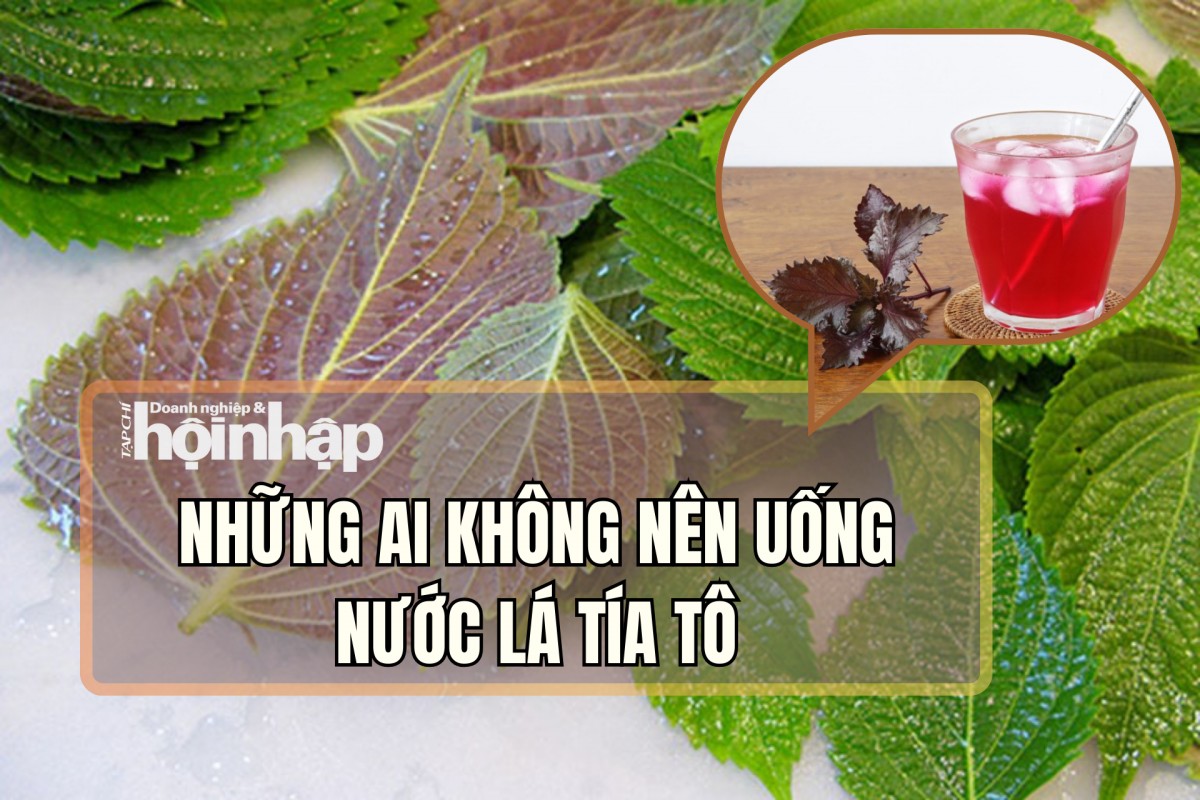 Những ai không nên uống nước lá tía tô?