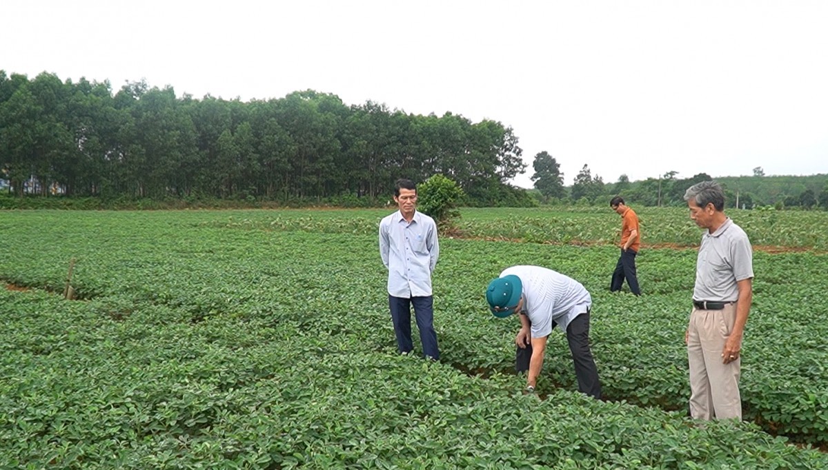 Quảng Trị: Huyện Cam Lộ nâng cao tinh thần quyết tâm hoàn thành mục tiêu, nhiệm vụ năm 2024