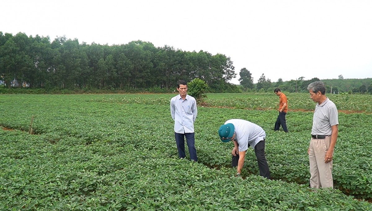 Quảng Trị: Huyện Cam Lộ nâng cao tinh thần quyết tâm hoàn thành mục tiêu, nhiệm vụ năm 2024