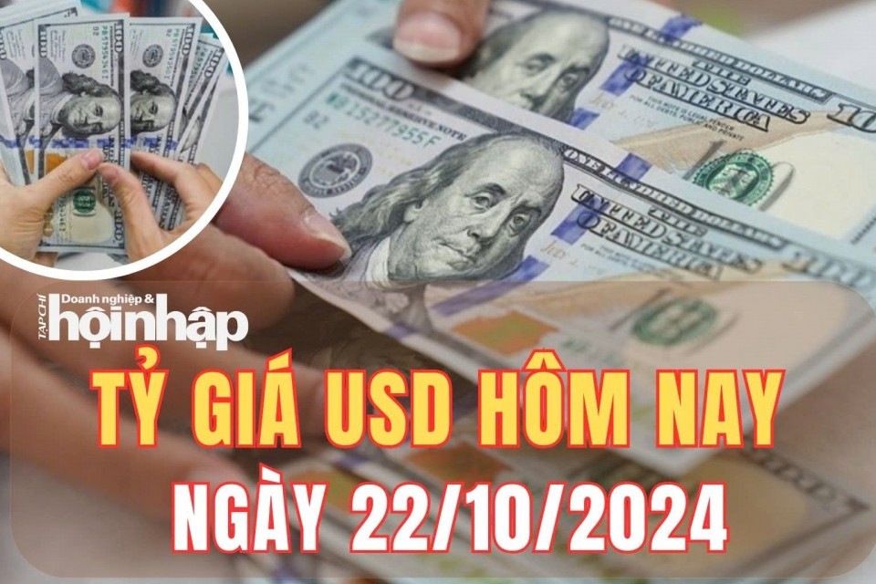 Tỷ giá USD hôm nay 22/10/2024: Đồng USD tăng mạnh,  đạt mốc 103,96 điểm