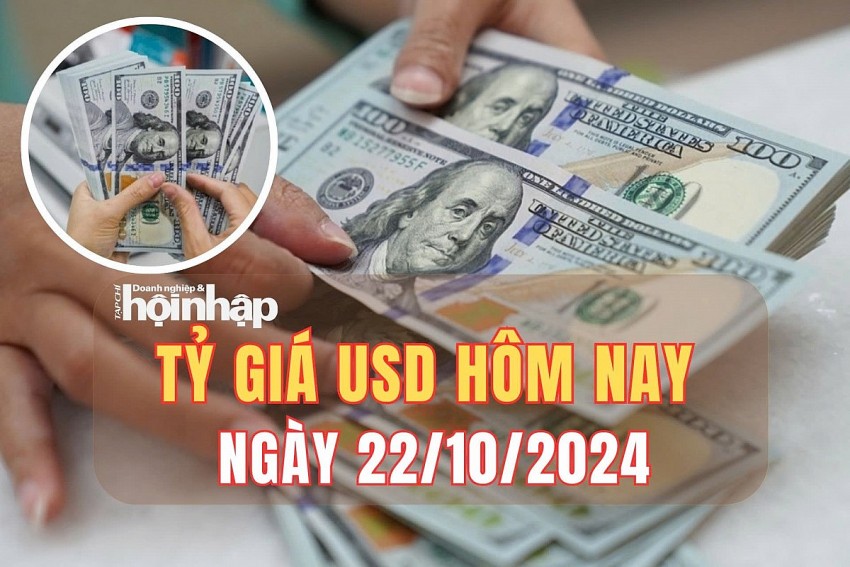 Tỷ giá USD hôm nay 22/20/2024: 