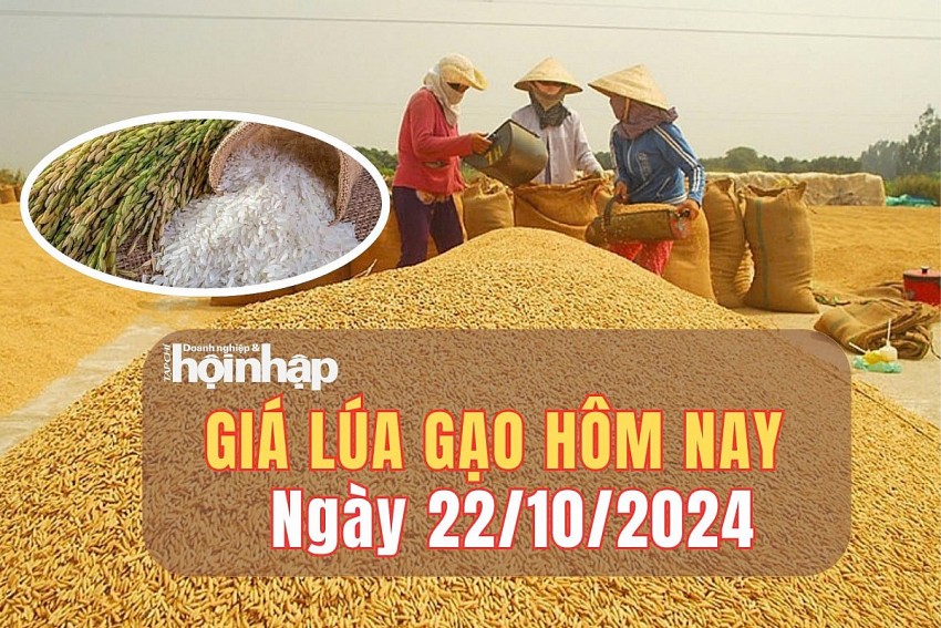 Giá lúa gạo hôm nay 22/10/2024: