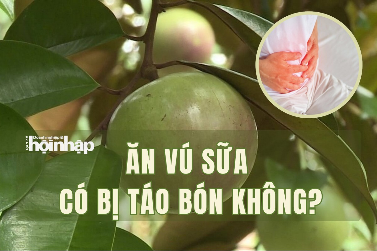 Ăn quả vú sữa có bị táo bón không?