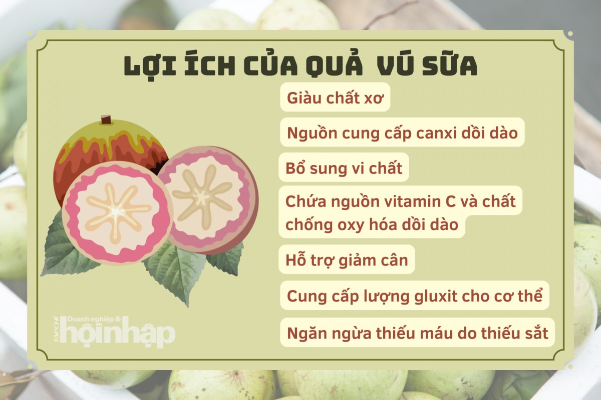 Lợi ích dinh dưỡng từ quả vú sữa